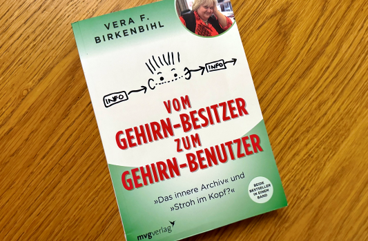 Vom Gehirn-Besitzer zum Gehirn-Benutzer